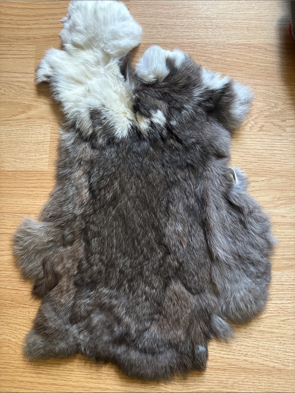B0193 rabbit pelt